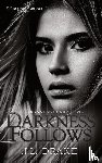Drake, J L - Darkness Follows