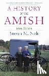 Nolt, Steven M. - A History of the Amish