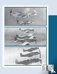 Turner Publishing - 339th Fighter Group