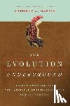 Anthony J. Martin - The Evolution Underground