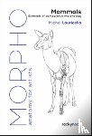 Lauricella, Michel - Morpho: Mammals