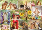 Weggen, Geert - Gettin' Squirrelly 1000-Piece Puzzle