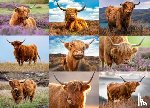 Willow Creek Press - Highland Cows 1000-Piece Puzzle