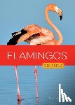 Gish, Melissa - Flamingos