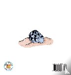 Johnston, Stacey Marie - Sid the Homeless Hermit Crab / Si Sid, ang Palaboy na Ermitanyong Talangka