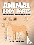 Jupiter Kids - Animal Body Parts