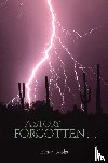 Karen, Geisler - A Story Forgotten...