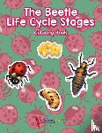 For Kids, Activibooks - The Beetle Life Cycle Stages Coloring Book
