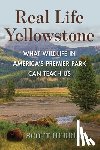 Herring, Scott - Real Life Yellowstone