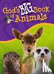 Kashtan, Orit - God's Big Book of Animals