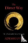 Gray, Adyashanti - The Direct Way