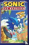 Flynn, Ian - Sonic the Hedgehog, Vol. 1: Fallout!