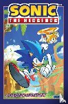 Flynn, Ian - Sonic the Hedgehog, Vol. 1: ¡Consecuencias! (Sonic The Hedgehog, Vol 1: Fallout! Spanish Edition)