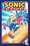 Flynn, Ian, Thomas, Adam Bryce - Sonic The Hedgehog, Vol. 11: Zeti Hunt!