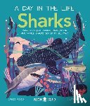 Jackson, Carlee - Sharks (A Day in the Life)