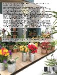 Scarr, Angie - The Dollhouse Flower Shop