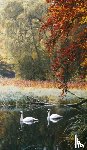 Ashton, Kristy - Swans of Faskally