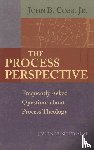  - The Process Perspective