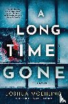 Moehling, Joshua - A Long Time Gone
