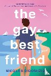 DiDomizio, Nicolas - The Gay Best Friend