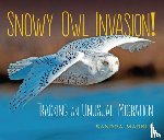 Markle, Sandra - Snowy Owl Invasion!