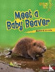 Schwartz, Heather E. - Meet a Baby Beaver