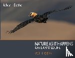 Botha, Johan J. - Nature As It Happens: African Wildlife: Vol. 1: Birds