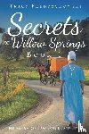 Fredrychowski, Tracy - Secrets of Willow Springs - Book 1