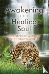 Blanchard, Geral - Awakening the Healing Soul