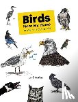 Kothe, Lori - Birds Near My Home in the City by the Sea