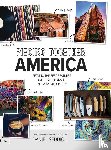 Seddiqui, Daniel - Piecing Together America