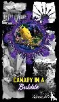 Le'dawn, Summer - Canary in a Bubble