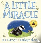 Furness, R.J. - A Little Miracle