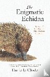 Clode, Danielle - The Enigmatic Echidna