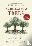Wohlleben, Peter - The Hidden Life of Trees