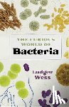 Wess, Ludger - The Curious World of Bacteria