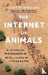Wikelski, Martin - The Internet of Animals