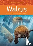 Paniaq, Herve - Animals Illustrated: Walrus