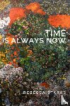 Starks, Rebecca - Time Is Always Now