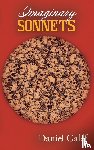 Galef, Daniel - Imaginary Sonnets