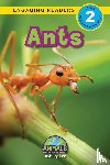 Lee, Ashley - Ants