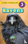 Knight, Aj - Ravens