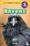 Knight, Aj - Ravens