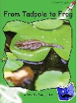 Holden, Pam - Red Rocket Readers - Early Level 4 Non-Fiction Set C: From Tadpole to Frog Big Book Edition (Reading Level 12/F&P Level H)