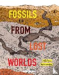 Laverdunt, Damien - Fossils from Lost Worlds