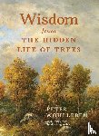 Wohlleben, Peter - Wisdom from the Hidden Life of Trees