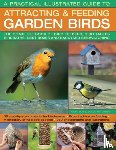 Green, Dr Jen - A Practical Illustrated Guide to Attracting & Feeding Garden Birds