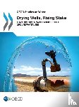 Organisation for Economic Co-Operation and Development (OECD) - Drying Wells, Rising Stakes – Towards Sustainable Agricultural Groundwater Use