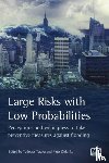  - Large Risks with Low Probabilities: Perceptions and willingness to take preventive measures against flooding