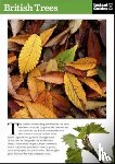 Guides, Instant - British Trees